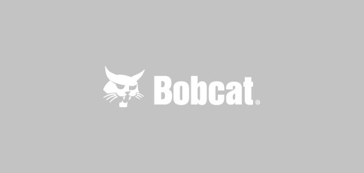 Bobcat