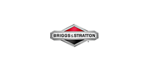 Briggs & Stratton